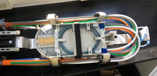 splicing photo 1